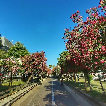 Mare E Luci Deluxe 公寓 *